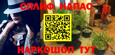 прущие грибы Бузулук